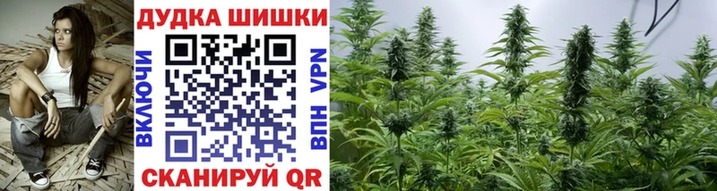 Магазины продажи наркотиков Верхний Тагил АМФ  Псилоцибиновые грибы  ГАШ 