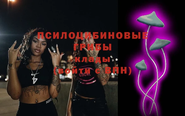 тгк Богородицк