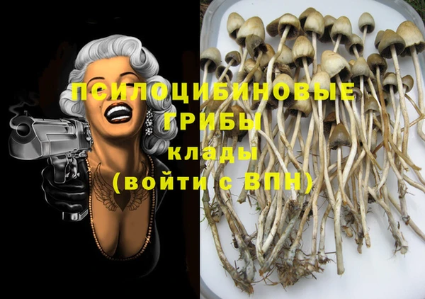тгк Богородицк
