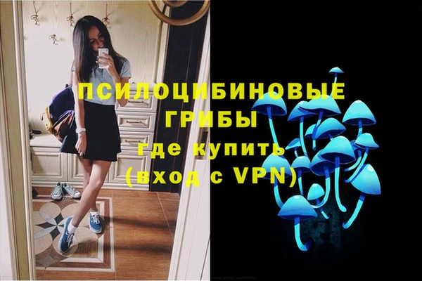скорость Богданович