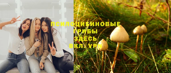 тгк Богородицк