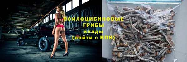 скорость Богданович