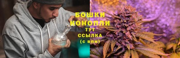 скорость Богданович