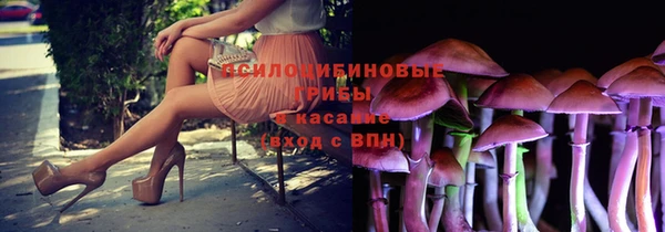 тгк Богородицк
