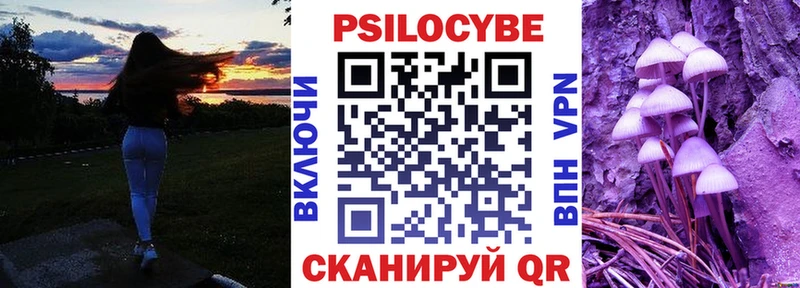 купить закладку  Верхний Тагил  Псилоцибиновые грибы MAGIC MUSHROOMS 